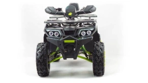 Квадроцикл Motoland 200 WILD TRACK